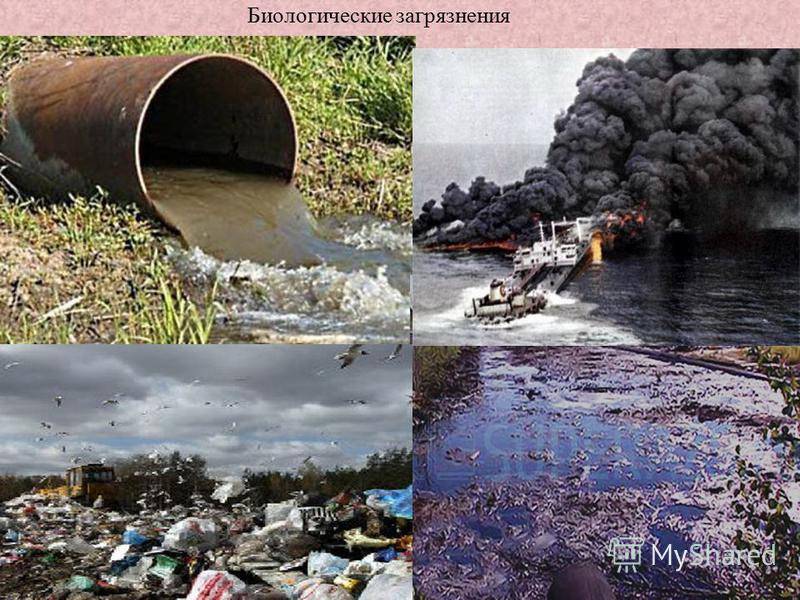 Проблемы загрязнения воды и почвы